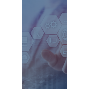 丰富的业务版图